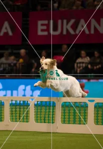 Photo call Philippa Williams in the main arena