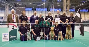 Photocall obedience