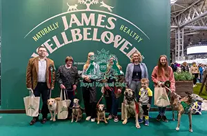 Scruffts Prints: Photocall with Scruffts finalists on the James Wellbeloved stand