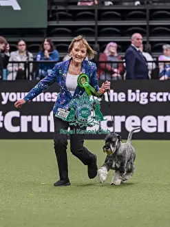 Schnauzer Prints: Pippa Moore from Bridgewater, Somerset with Sophie
