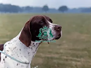 Head Prints: Pointer