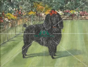 poodle, Artwork, oil, painting, outside, grass