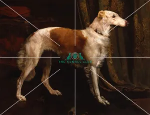Portrait of a Borzoi Portrait of a Borzoi