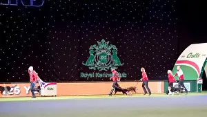 Presentation of award to Agility Large team World Champions