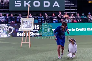 Shake Prints: Presentation of the BIS 2024 painting from the last years Crufts winner
