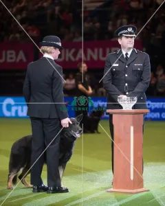 Presentation of the Police Dog Team Operational and Humanitarian Action of the Year Award Presentation of the Police Dog Team Operational and Humanitarian Action of the Year Award