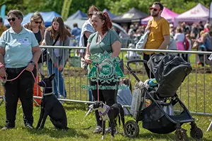 Chelmsford Prints: Prettiest Crossbreed Bitch Class Dog And Owner