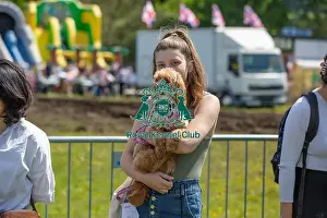 Chelmsford Prints: Prettiest Crossbreed Bitch Class Dog And Owner