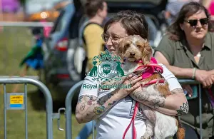 Chelmsford Prints: Prettiest Crossbreed Bitch Class Dog And Owner