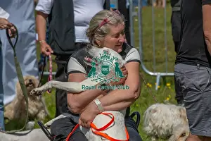 Chelmsford Prints: Prettiest Crossbreed Bitch Class Dog And Owner