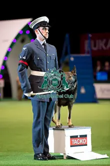 RAF display