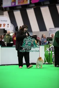 Crufts 2026 Rally Prints: Have A Go Rally