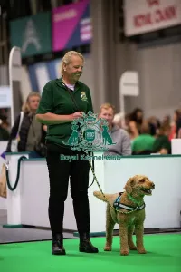 Crufts 2026 Rally Prints: Have A Go Rally