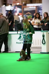 English Springer Spaniel Prints: Have A Go Rally