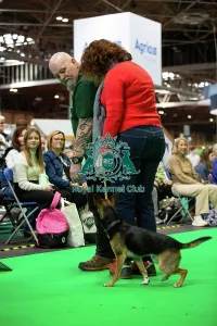 Crufts 2026 Rally Prints: Have A Go Rally