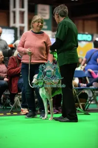 Crufts 2026 Rally Prints: Have A Go Rally