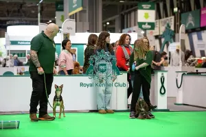 Crufts 2026 Rally Prints: Have A Go Rally