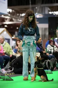 Crufts 2026 Rally Prints: Have A Go Rally