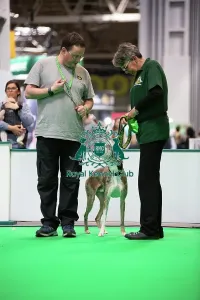 Crufts 2026 Rally Prints: Have A Go Rally
