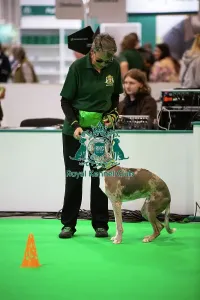 Crufts 2026 Rally Prints: Have A Go Rally