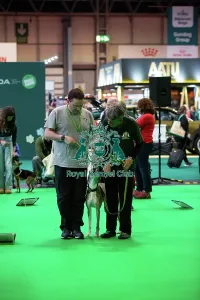 Crufts 2026 Rally Prints: Have A Go Rally