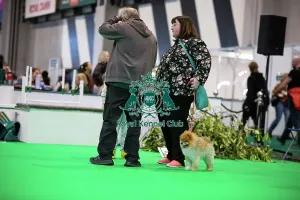 Crufts 2026 Rally Prints: Have A Go Rally