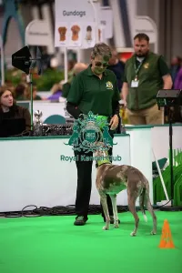 Crufts 2026 Rally Prints: Have A Go Rally