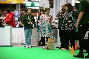 Pomeranian Prints: Have A Go Rally