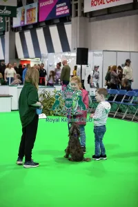 Crufts 2026 Rally Prints: Have A Go Rally