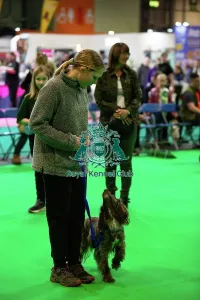 Crufts 2026 Rally Prints: Have A Go Rally