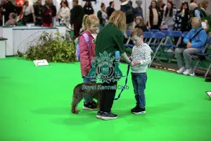 Hall 3 Prints: Have A Go Rally