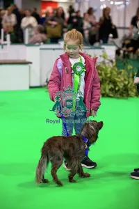 Hall 3 Prints: Have A Go Rally