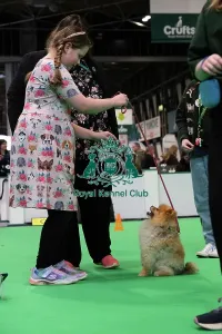 Hall 3 Prints: Have A Go Rally