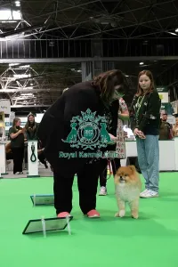 Crufts 2026 Rally Prints: Have A Go Rally