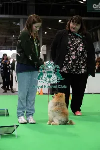 Hall 3 Prints: Have A Go Rally