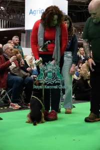 Crufts 2026 Rally Prints: Have A Go Rally