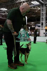 Crufts 2026 Rally Prints: Have A Go Rally