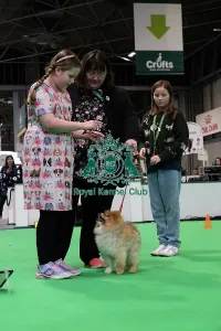 Hall 3 Prints: Have A Go Rally
