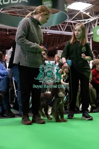 Hall 3 Prints: Have A Go Rally