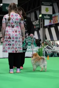 Hall 3 Prints: Have A Go Rally