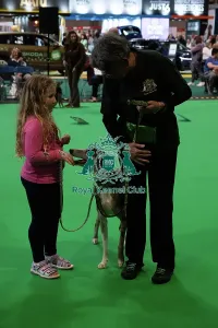 Crufts 2026 Rally Prints: Have A Go Rally
