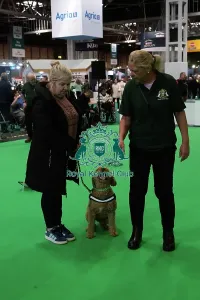 Crufts 2026 Rally Prints: Have A Go Rally