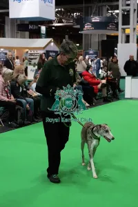 Crufts 2026 Rally Prints: Have A Go Rally