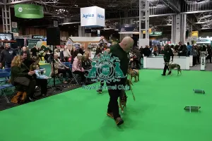 Crufts 2026 Rally Prints: Have A Go Rally