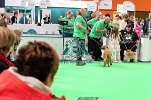 Display Prints: Have A Go Rally Activity
