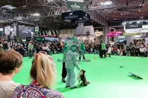 Display Prints: Have A Go Rally Activity