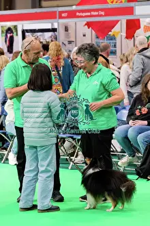 Display Prints: Have A Go Rally Activity