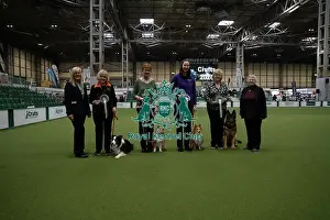 Obedience Prints: Rally Award Winners