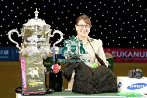 Rebecca Cross from Geithsburg, PA, USA with Kanopa a Scottish Terrier, which won