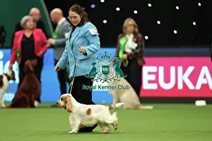 Rebecca Govik and Theres Johansson from Sweden with Barra, a Cocker Spaniel, which was the Best of Breed winner today (Thursday 09. 03. 23), the first day of Crufts 2023, at the NEC Birmingham